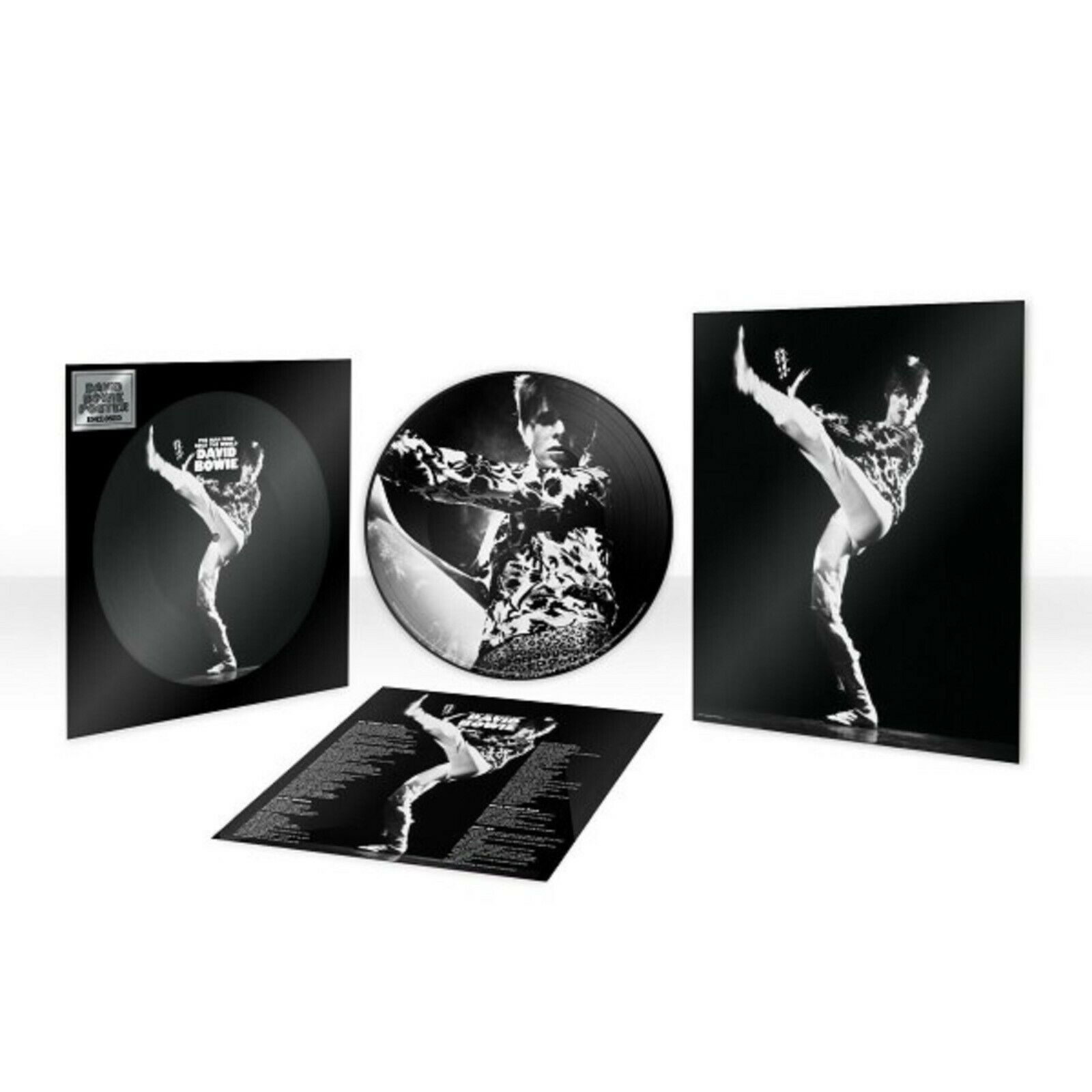 DAVID BOWIE, THE MAN WHO SOLD THE WORLD, LTD ED. VINYL PICTURE DISC ...
